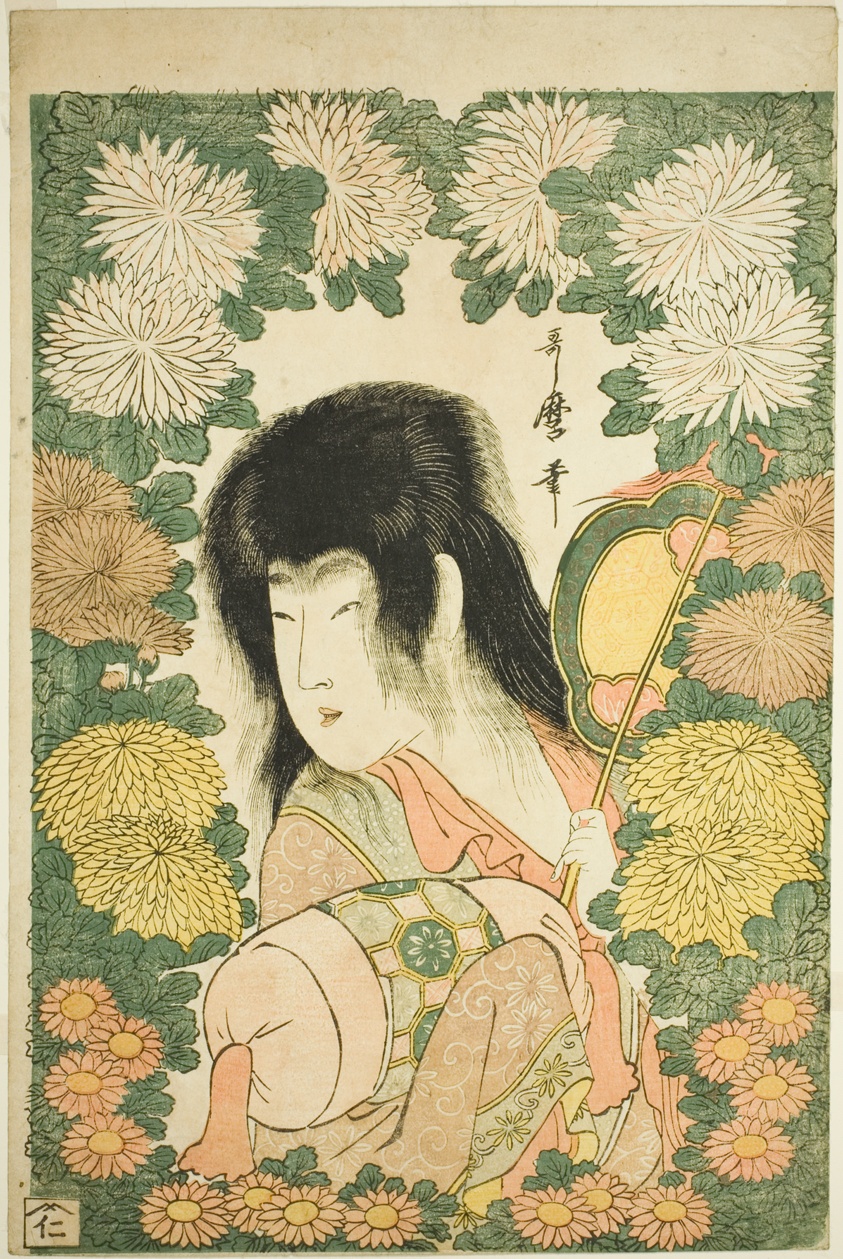 Chrysanthemum Boy