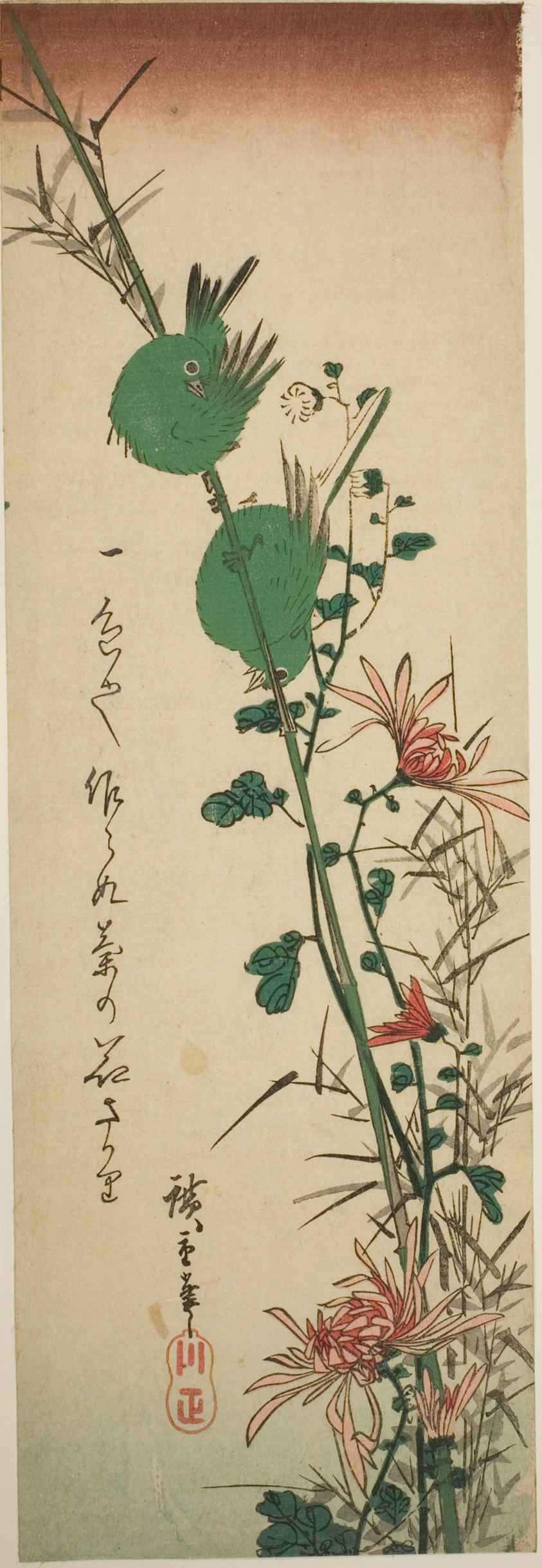 Japanese White-eyes and Chrysanthemums