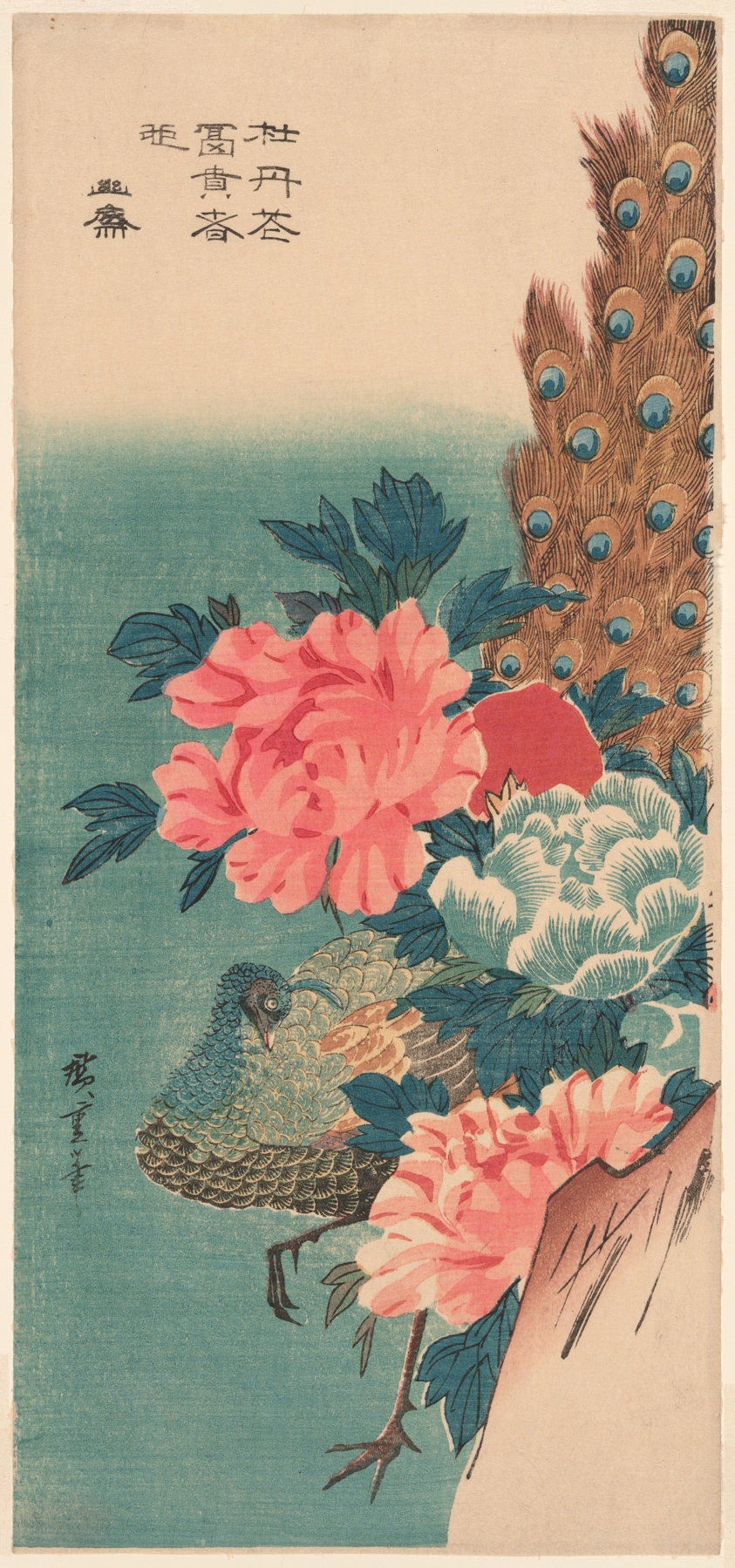 Peacock and peonies