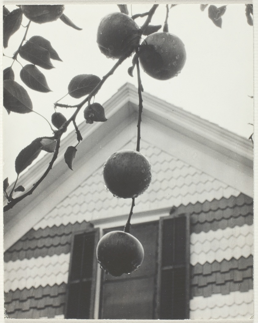 Gable and Apples