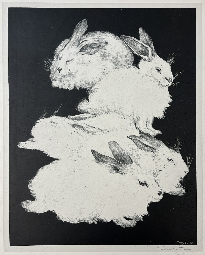 Angora Rabbits, plate two from Animal Studies