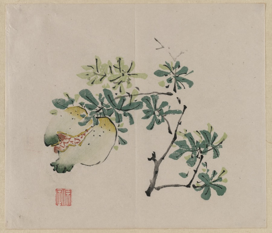 Branch with Pomegranate