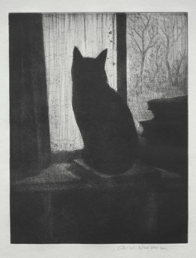 The Cat