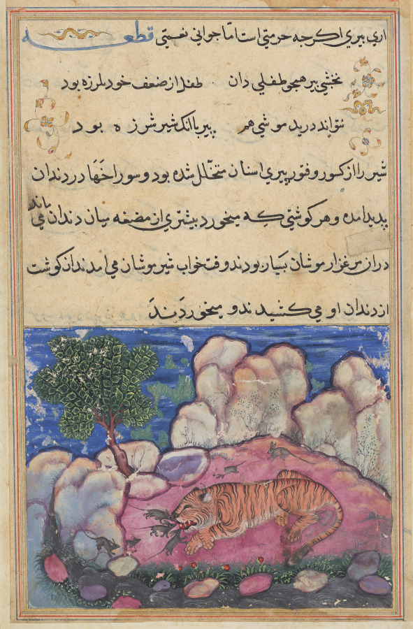 The lion disturbed by mice who eat the food trapped in his aging teeth, from a Tuti-nama (Tales of a Parrot): Fifteenth Night