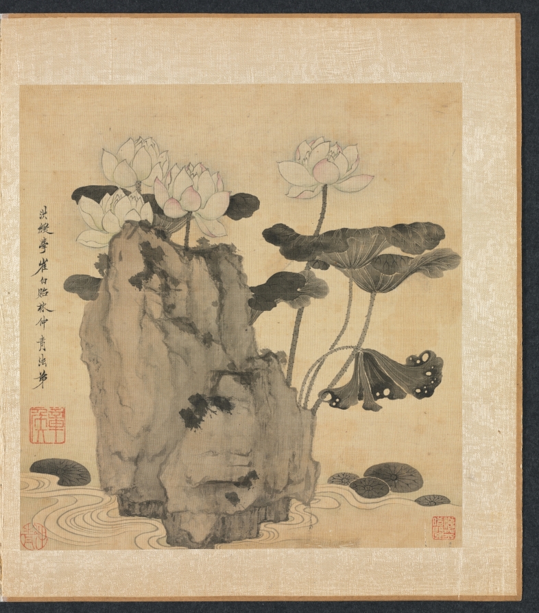 lotus