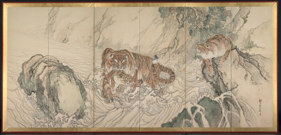 tiger