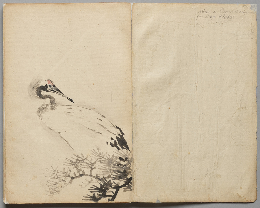 Crane from Sketch Album