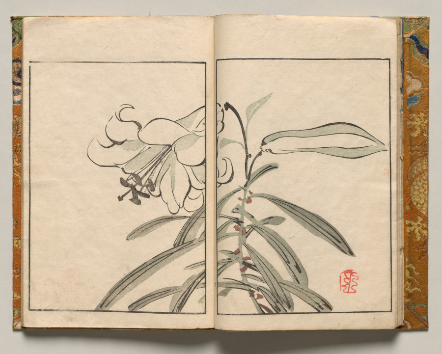 Lily, Design Seven from Shazanrō Picture Book