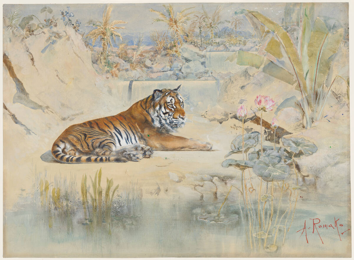 Tiger