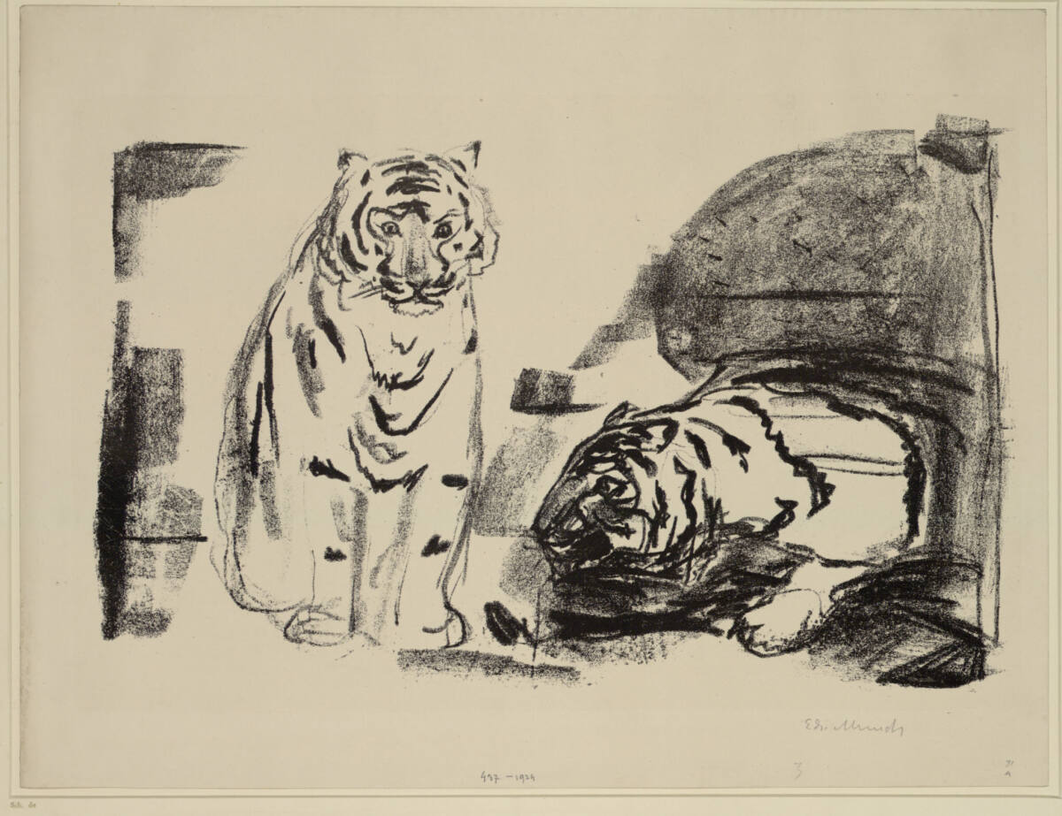 Sitzende und kriechende Tiger