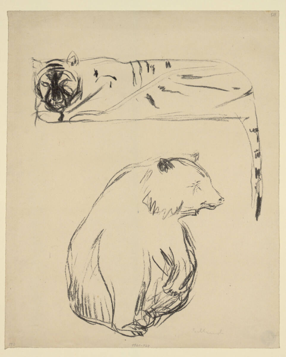 Tiger und Bär