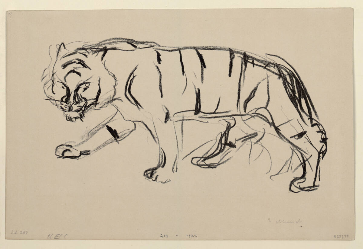 Schreitender Tiger