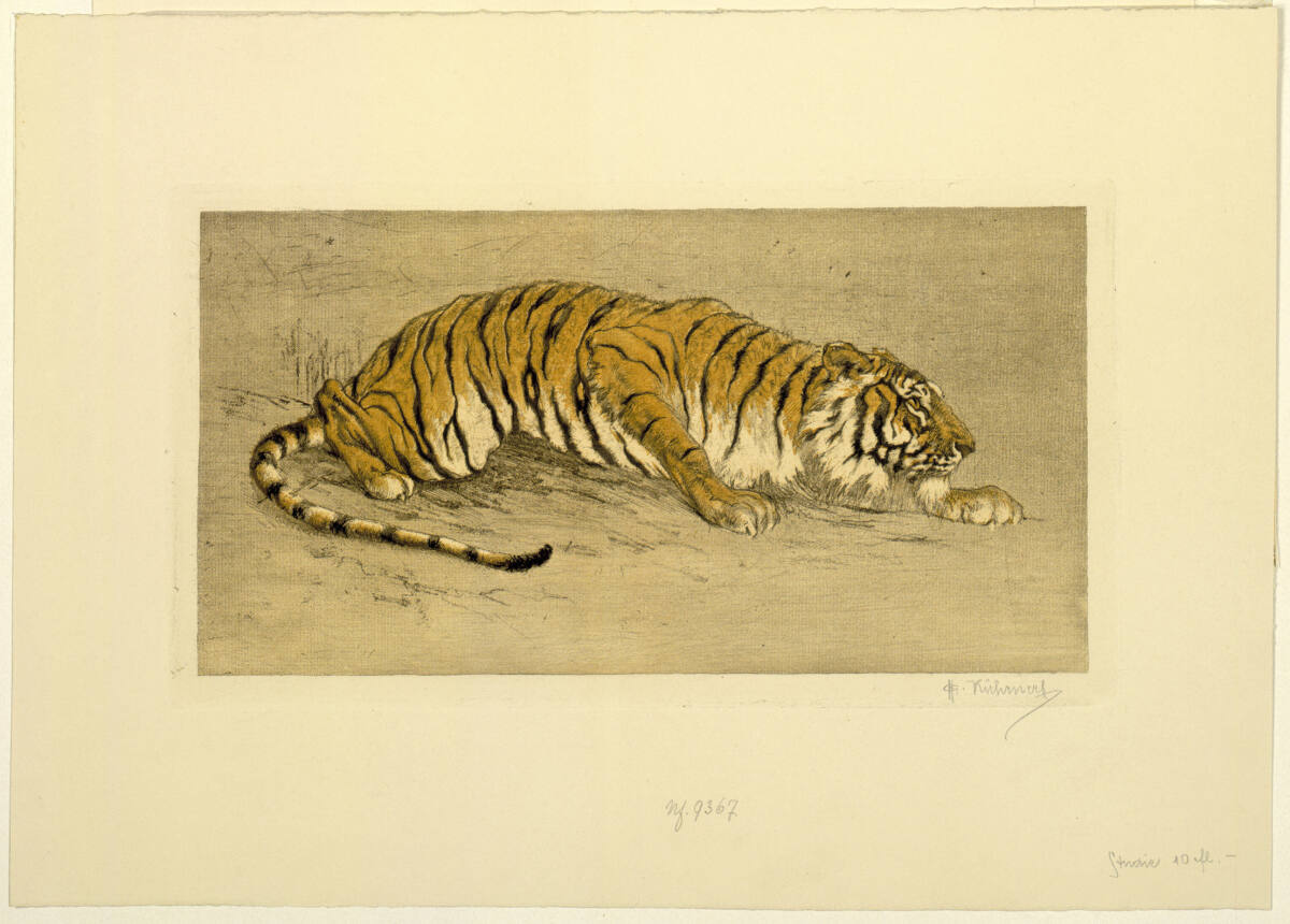 Schleichender Tiger