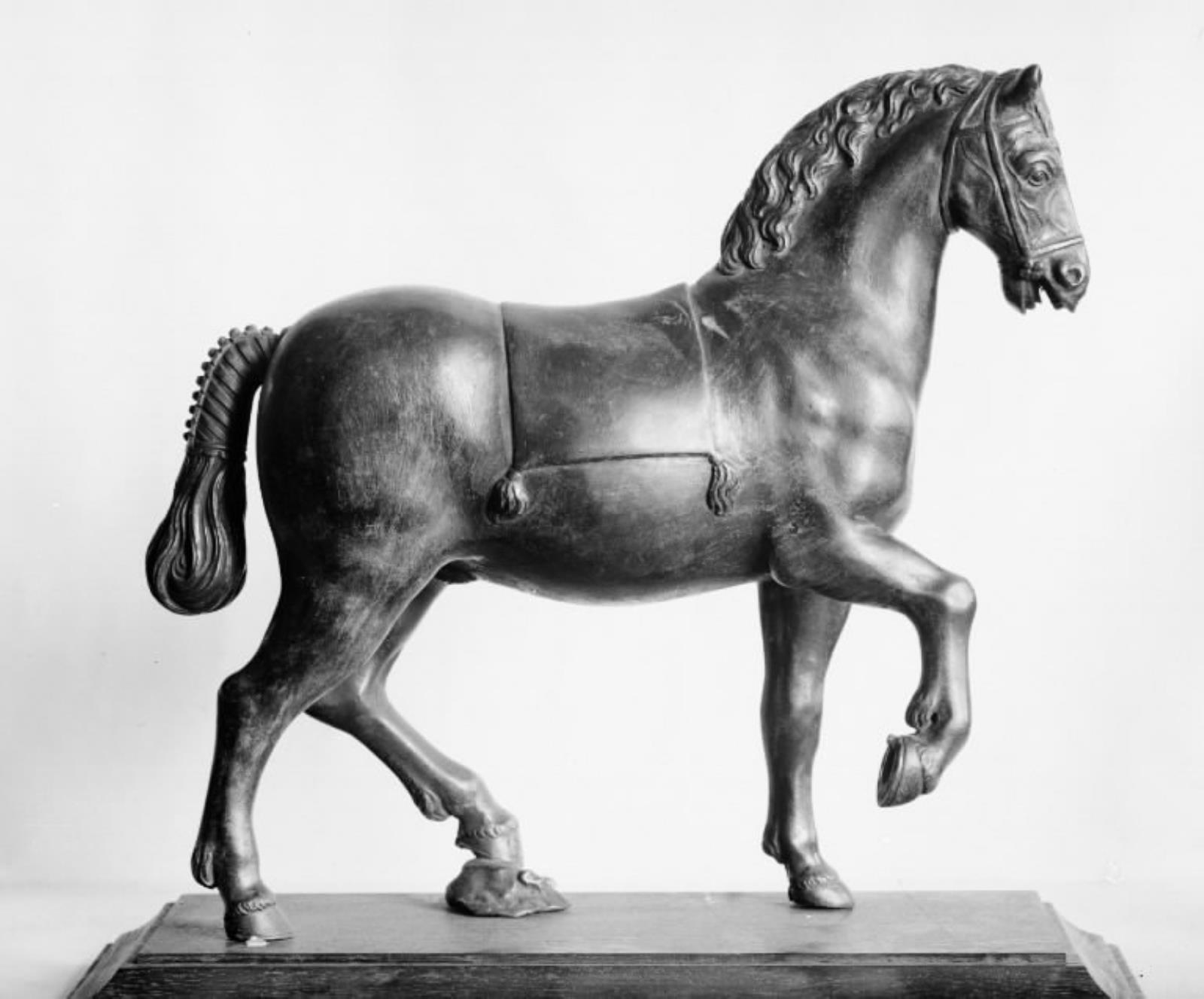 Racing Horse