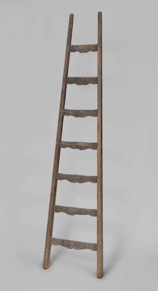 Ladder met accoladevormige sporten