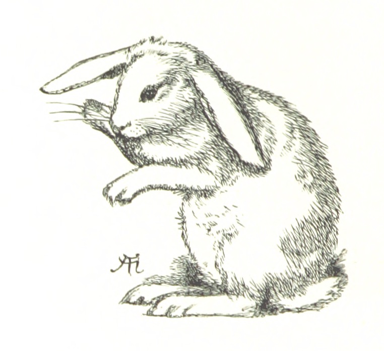Rabbit from "[Sing-Song. A nursery rhyme book. ... With ... illustrations by A. Hughes, etc.]".