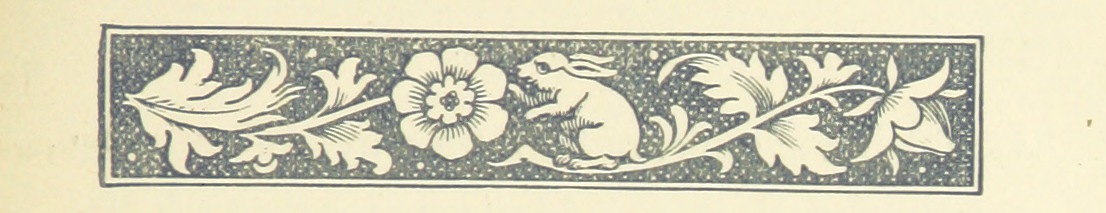rabbit from "El Dorado. A novel".