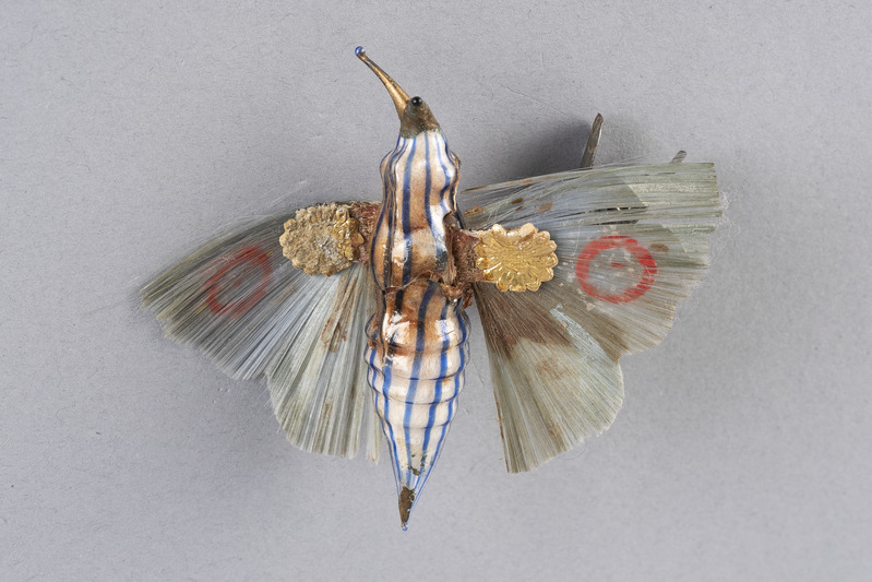 fir leaf: butterfly