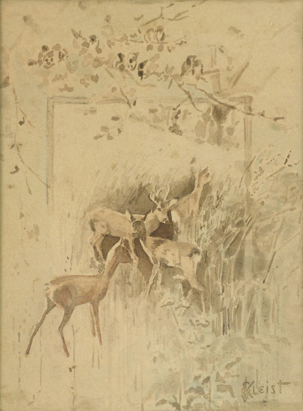 Deer