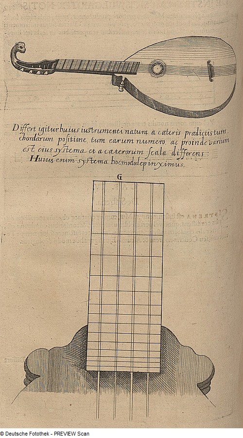 lute