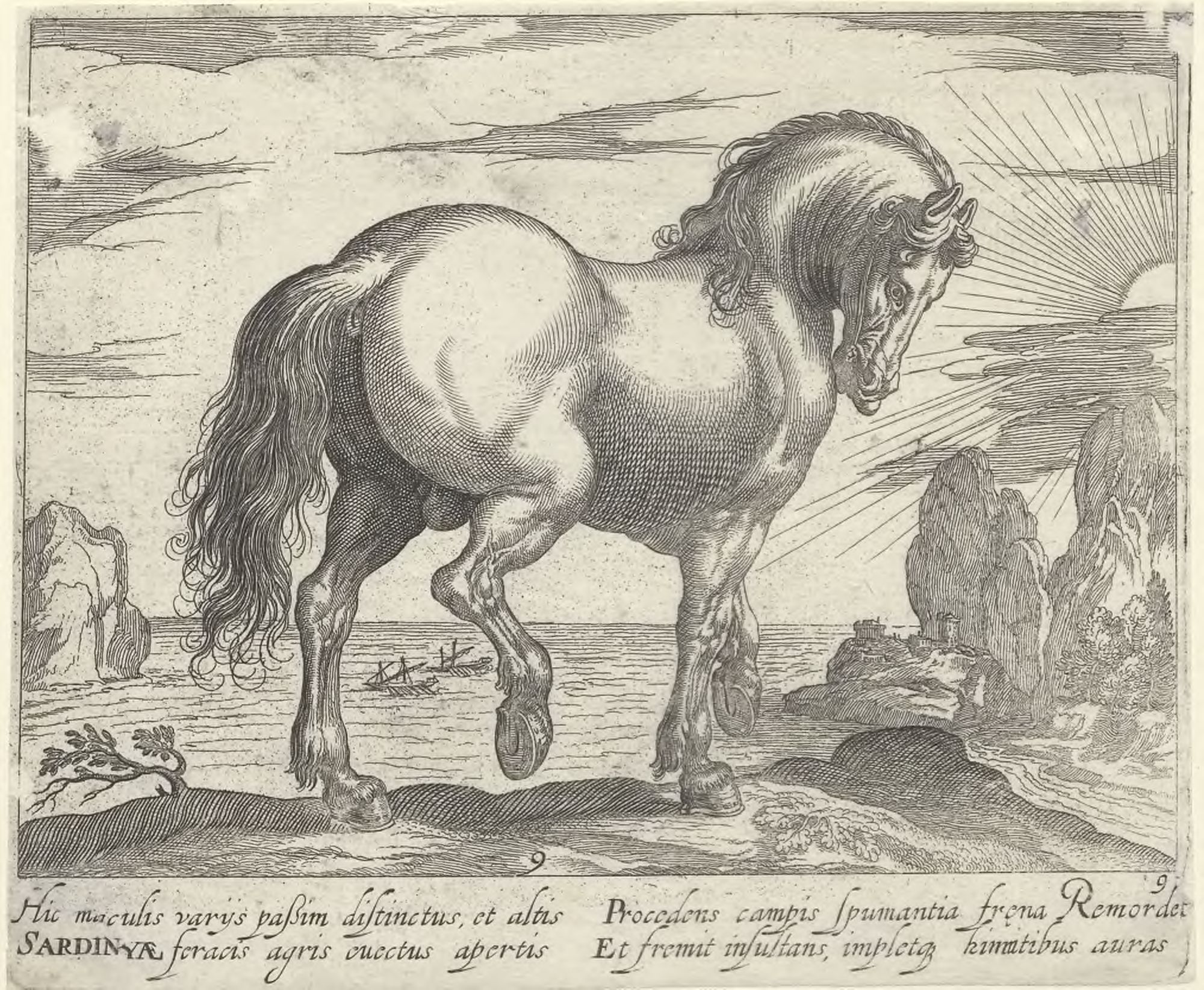 Horse breeds: Landscape with a Sardinian horse