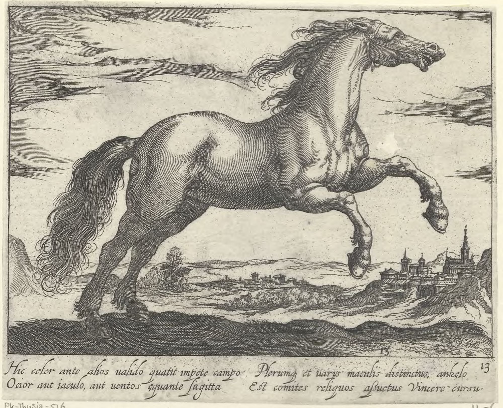 Horse breeds: Landscape with a galloping horse