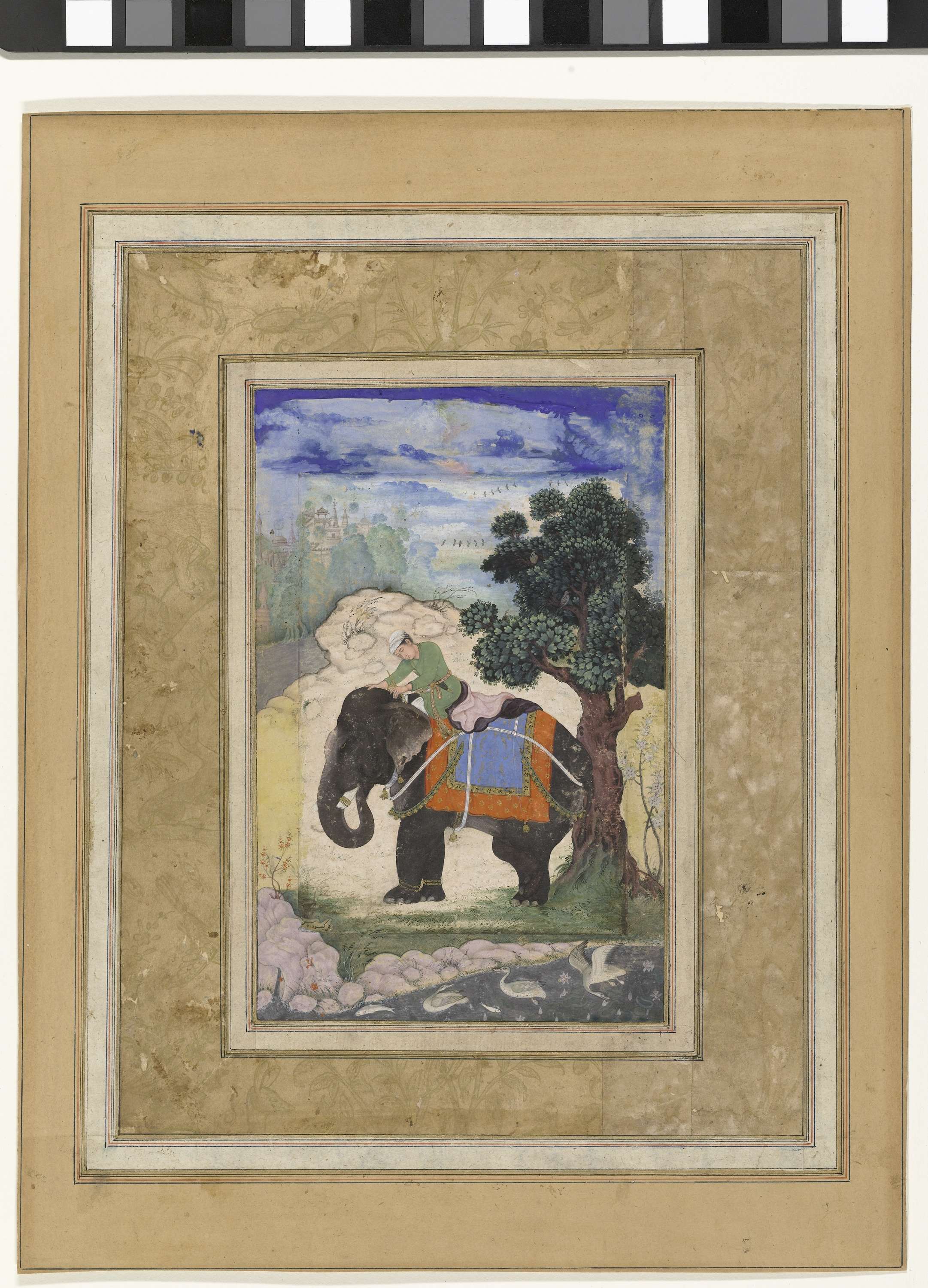 Olifant met berijder