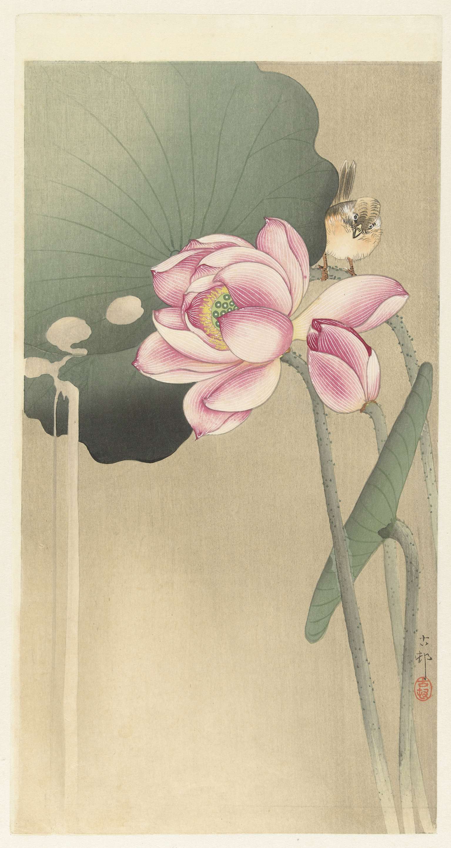 Lotus met vogel