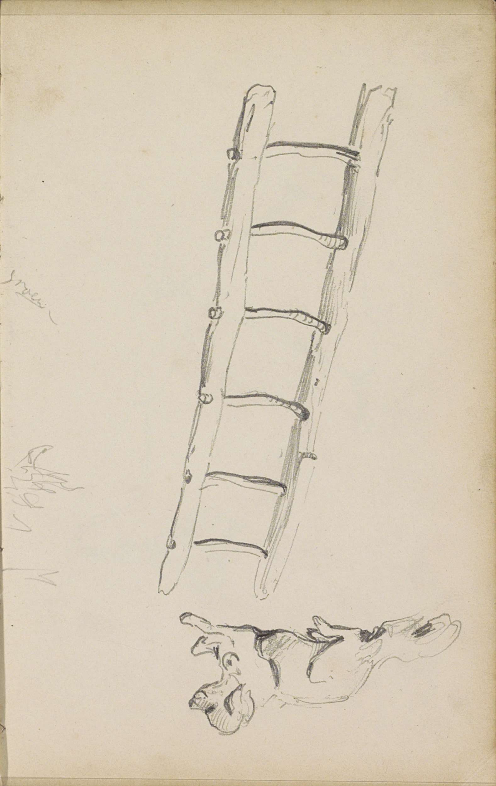 Houten ladder en een liggende hond