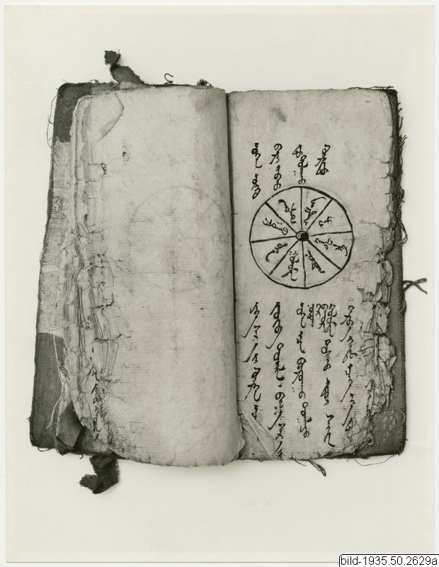 bok, book