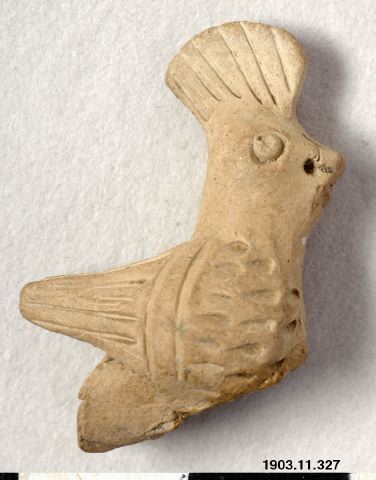 fågel