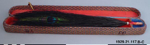 peacock feather, case, case