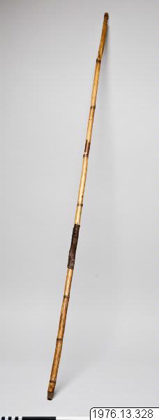 bambu, bamboo