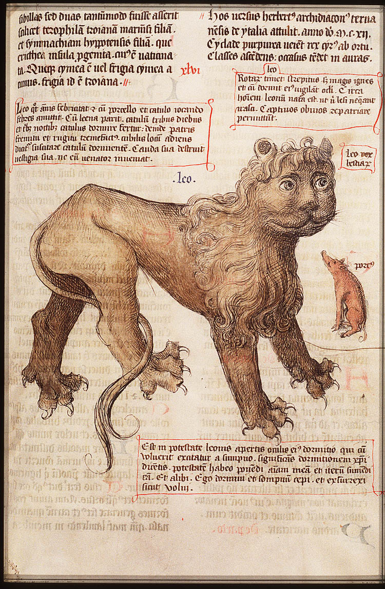 Lion