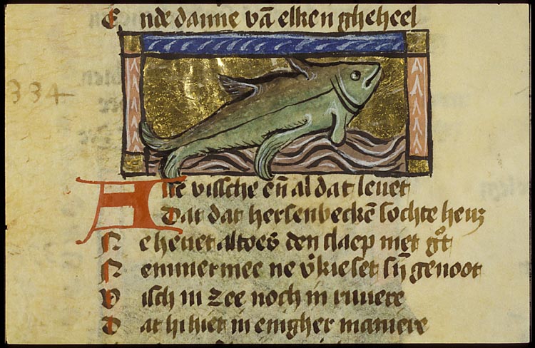 Fish