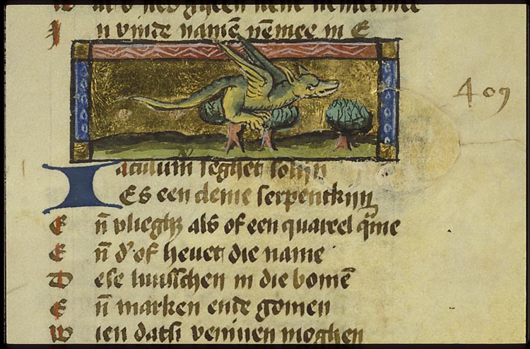 Jaculum (kind of snake)
