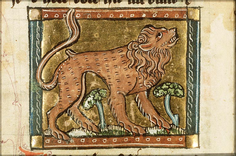 Leo (lion)