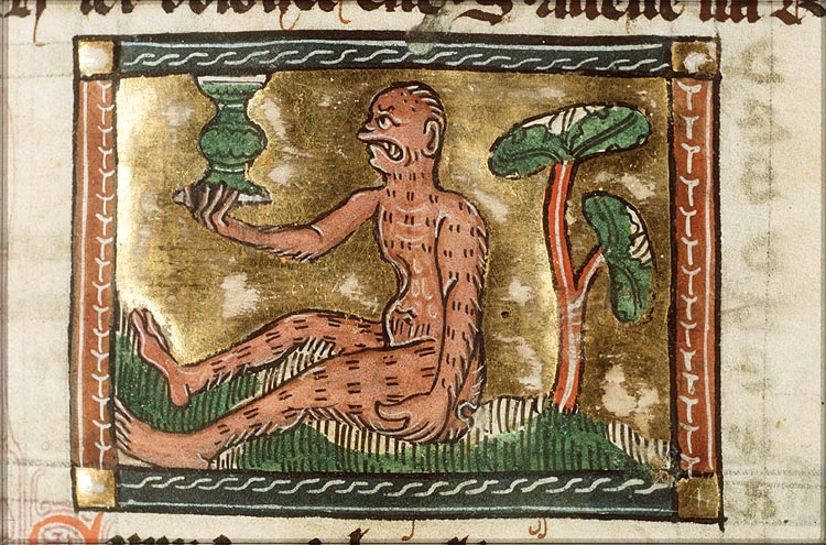 Symea (monkey)