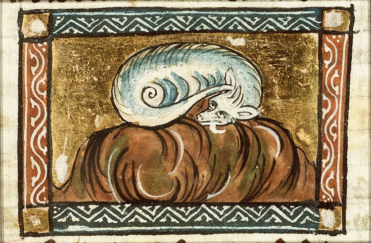 Aspis (kind of snake)