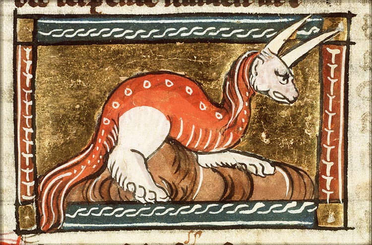 Cornuti (kind of snake)