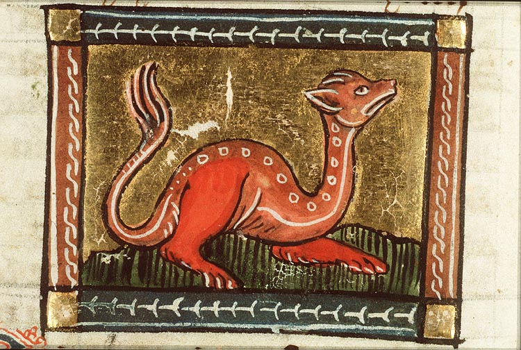 Boa (kind of snake)