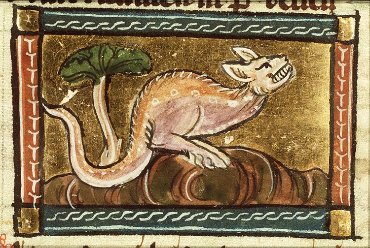 Pister (kind of snake)