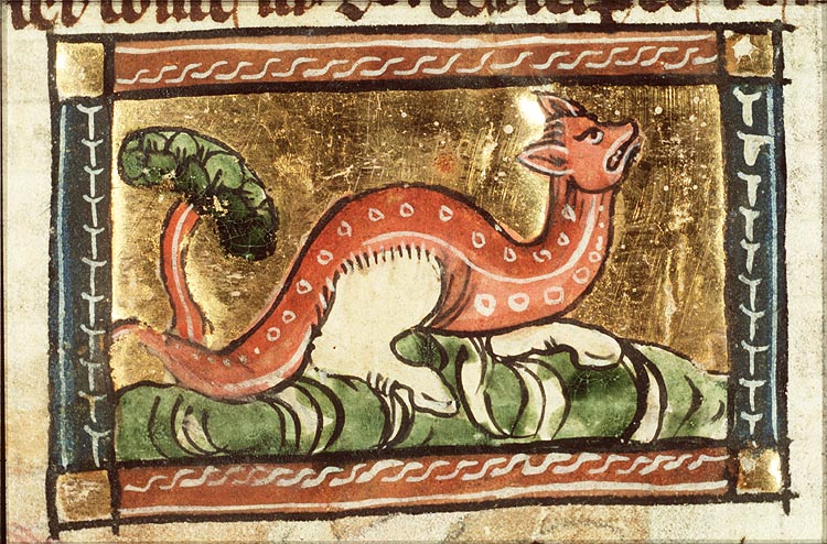 Rucela (kind of snake)