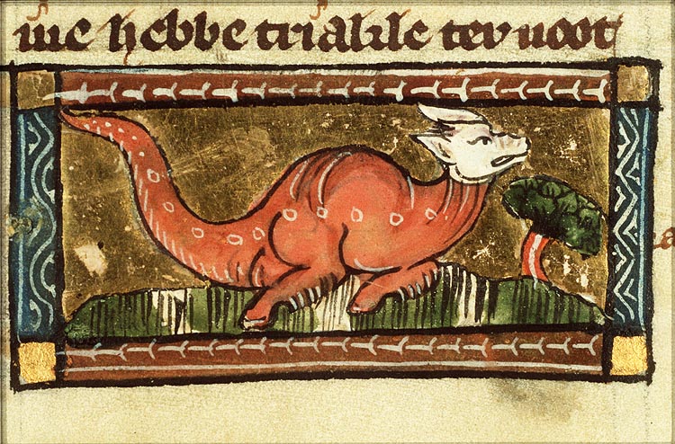 Pareas (kind of snake)