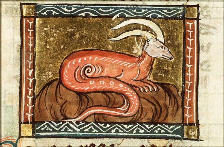Carastes (kind of snake)