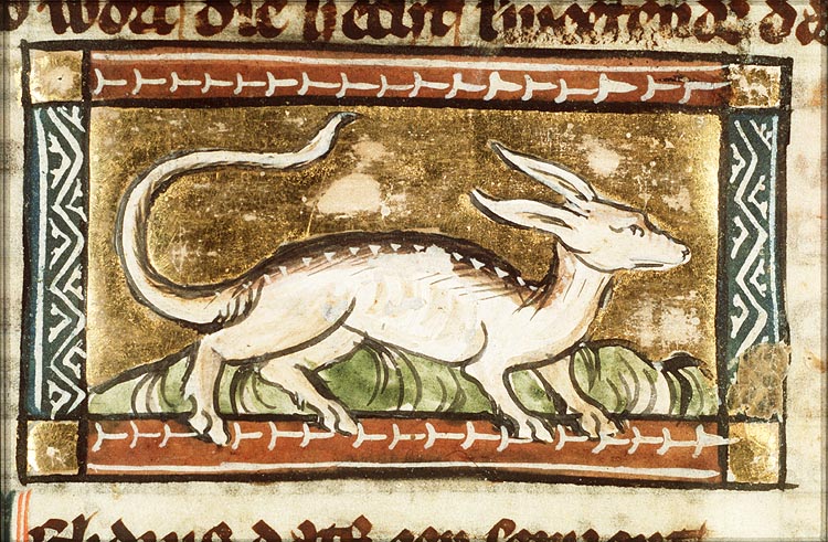 Chelidrus (kind of snake)