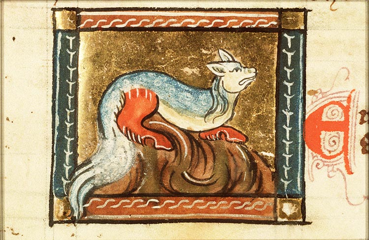 Emorois (kind of snake)