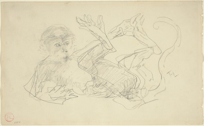 A Monkey Playing on His Back