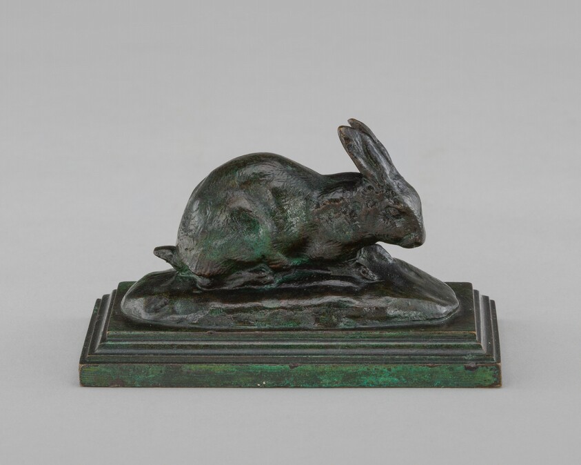 Crouching Rabbit