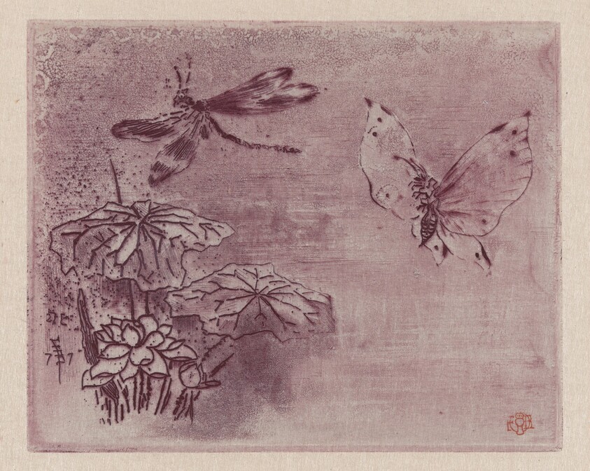 Ex Libris with a Butterfly and Dragonfly